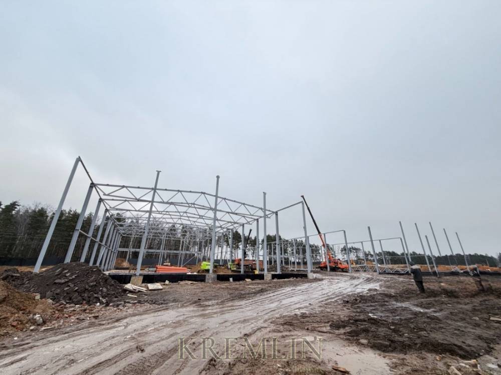 5296672271114112080_121